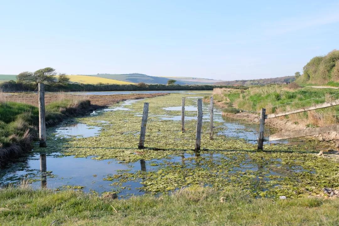 英格兰海滨城市布莱顿